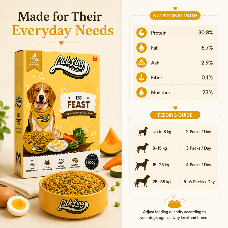 Egg Feast